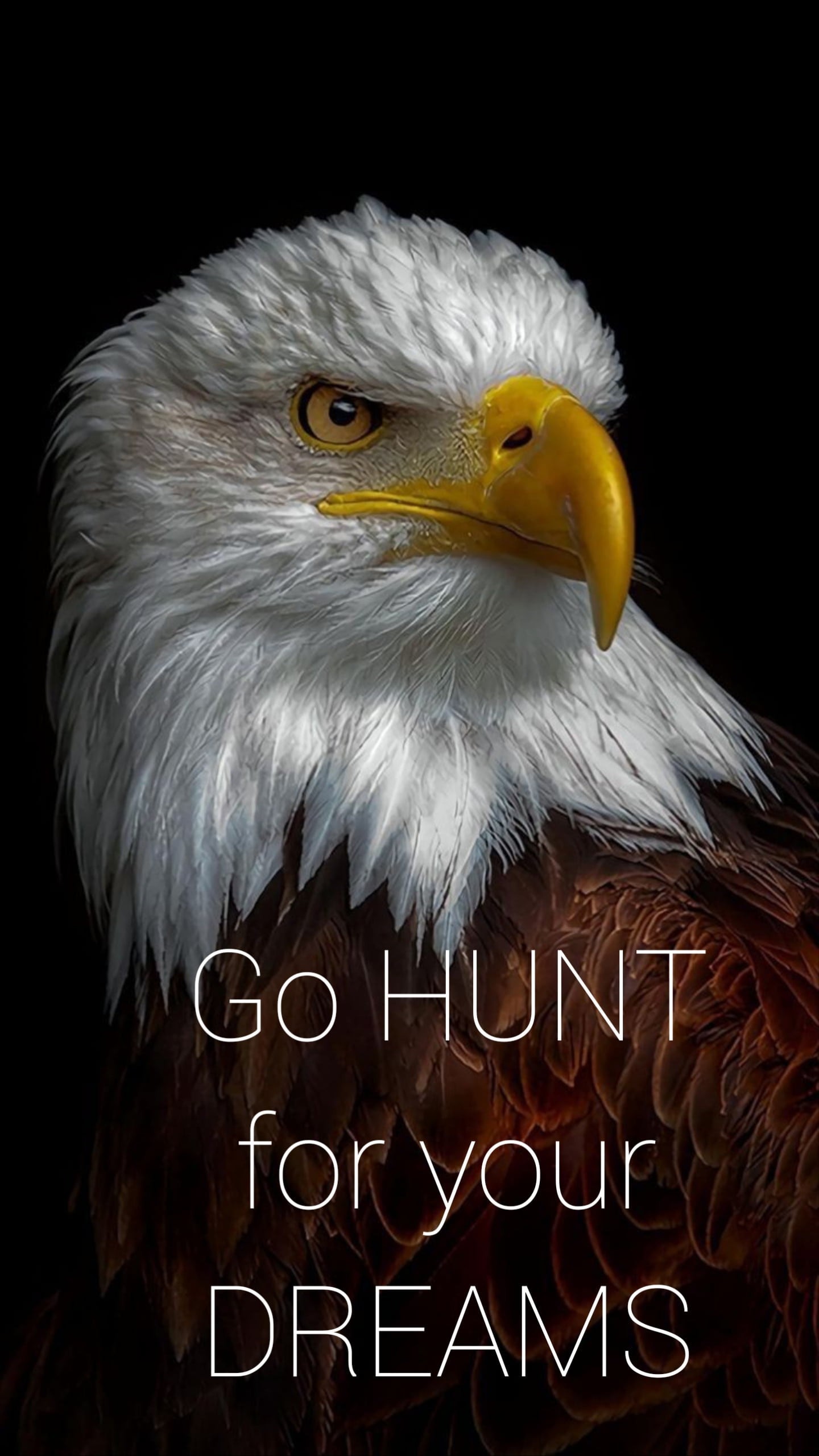 testyable-product-666-pic16920792270